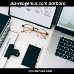 Unlocking Web Success_ Expert Insights from Bizwebgenius.com Barbara Miller on Analytics & Industry Benchmarks